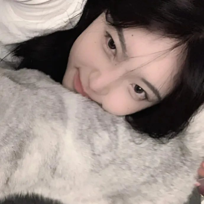 绝望主妇第二季